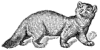 Sobol - clickiliki
